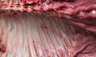 狍子肉咋做好吃