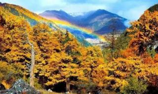 广西专科学校排名榜