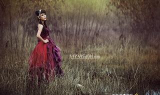 一个人的天荒地老 一个人的天荒地老