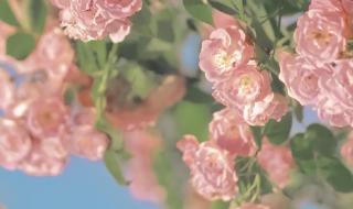 ipadpro2021 ipadpro2021