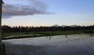 皇太子的初恋演员表