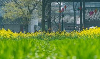 无锡第一看点 无锡第一看点