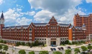 怎样申请公费留学 怎样申请公费留学