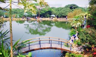 深圳青青世界一日游 深圳青青世界一日游