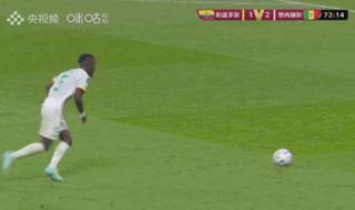 2002世界杯法国队名单