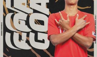 2002年荷兰世界杯阵容